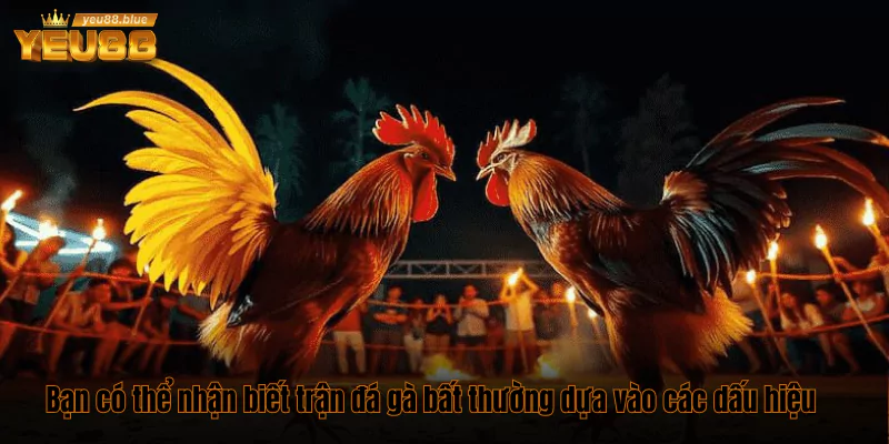 “Lật tẩy" các dấu hiệu bất thường của một trận gà online 3 Bạn có thể nhận biết trận đá gà bất thường dựa vào các dấu hiệu